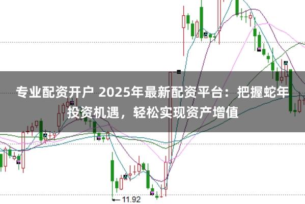 专业配资开户 2025年最新配资平台：把握蛇年投资机遇，轻松实现资产增值