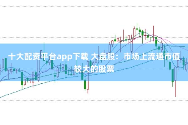 十大配资平台app下载 大盘股：市场上流通市值较大的股票