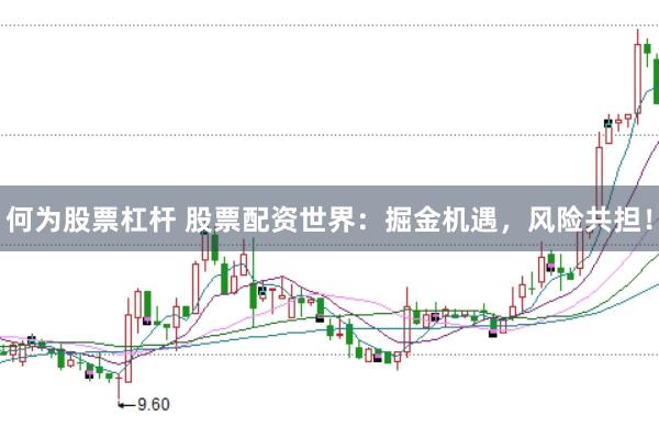 何为股票杠杆 股票配资世界：掘金机遇，风险共担！
