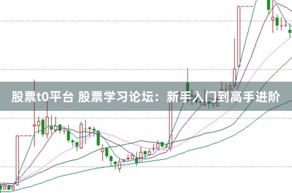 股票t0平台 股票学习论坛：新手入门到高手进阶