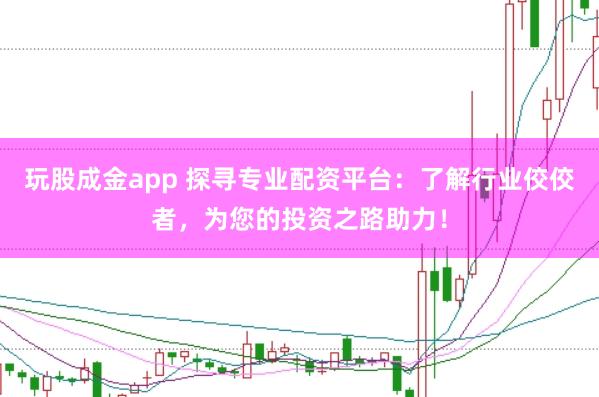玩股成金app 探寻专业配资平台：了解行业佼佼者，为您的投资之路助力！