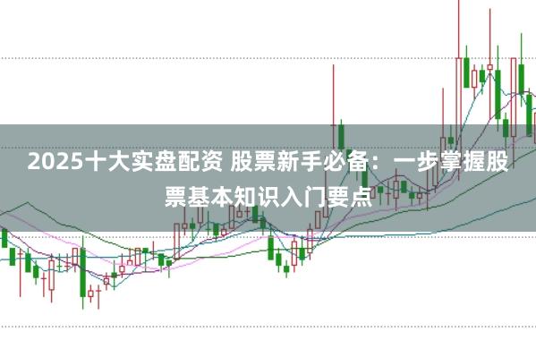 2025十大实盘配资 股票新手必备：一步掌握股票基本知识入门要点
