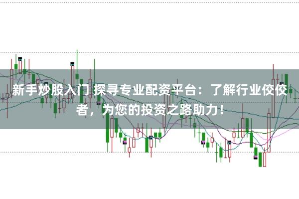 新手炒股入门 探寻专业配资平台：了解行业佼佼者，为您的投资之路助力！