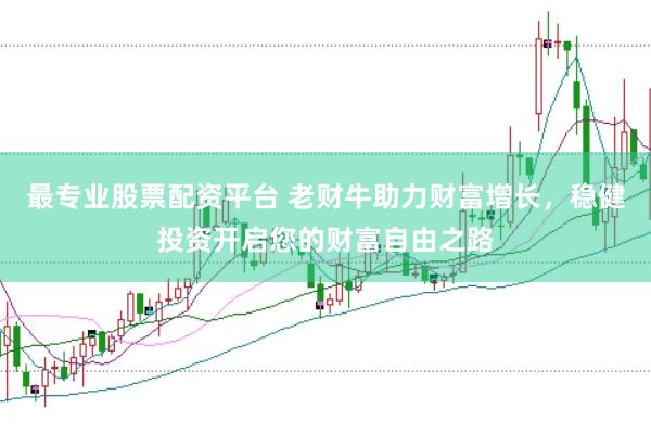最专业股票配资平台 老财牛助力财富增长，稳健投资开启您的财富自由之路