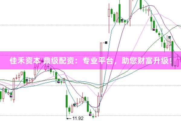佳禾资本 鼎级配资：专业平台，助您财富升级！