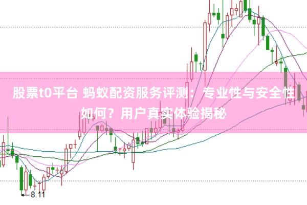 股票t0平台 蚂蚁配资服务评测：专业性与安全性如何？用户真实体验揭秘