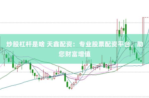 炒股杠杆是啥 天鑫配资：专业股票配资平台，助您财富增值