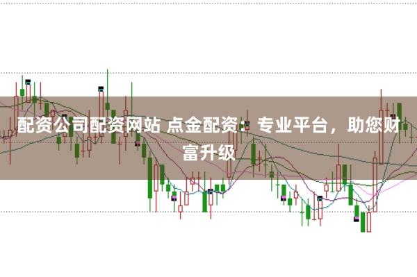 配资公司配资网站 点金配资：专业平台，助您财富升级