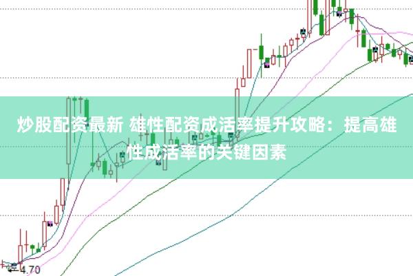 炒股配资最新 雄性配资成活率提升攻略：提高雄性成活率的关键因素