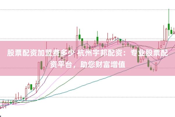 股票配资加盟费多少 杭州宇邦配资：专业股票配资平台，助您财富增值