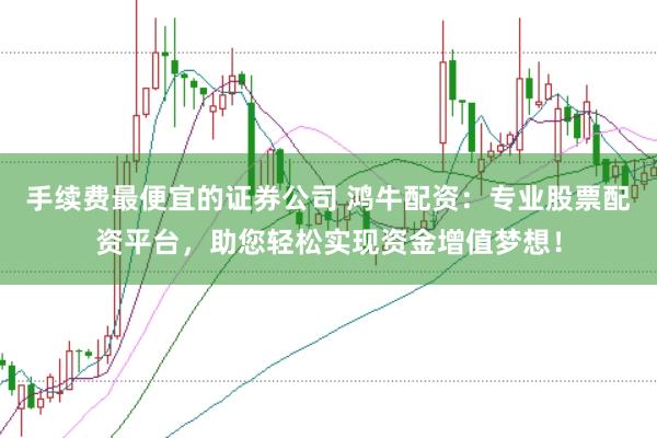 手续费最便宜的证券公司 鸿牛配资：专业股票配资平台，助您轻松实现资金增值梦想！