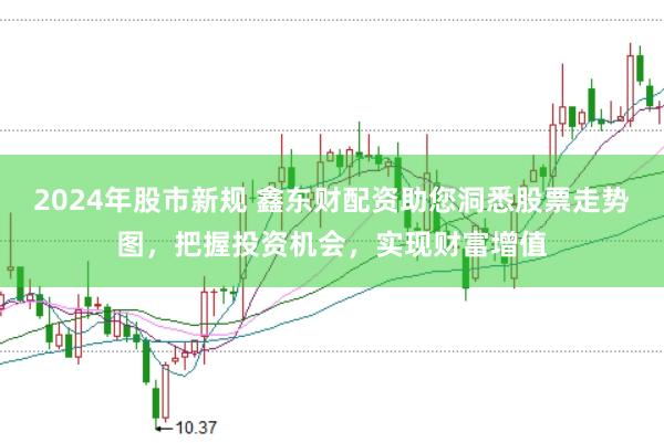 2024年股市新规 鑫东财配资助您洞悉股票走势图，把握投资机会，实现财富增值