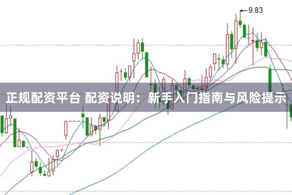 正规配资平台 配资说明：新手入门指南与风险提示