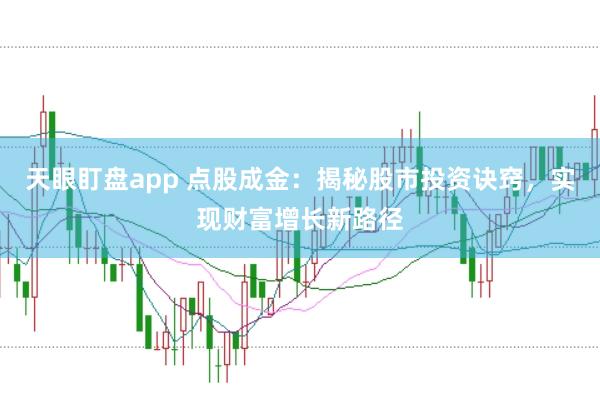 天眼盯盘app 点股成金：揭秘股市投资诀窍，实现财富增长新路径
