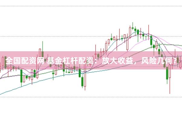 全国配资网 基金杠杆配资：放大收益，风险几何？