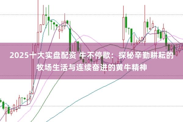 2025十大实盘配资 牛不停歇：探秘辛勤耕耘的牧场生活与连续奋进的黄牛精神